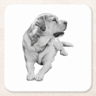 Sip Break, Steady Friend Square Paper Coaster