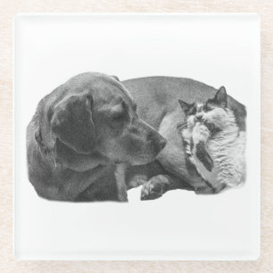Sip Break with Pals Glass Coaster