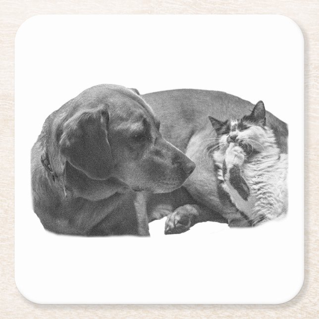 Sip Break with Pals Square Paper Coaster (Front)