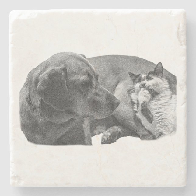 Sip Break with Pals Stone Coaster (Front)