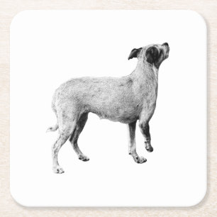Sip Pause—Looking Up Square Paper Coaster