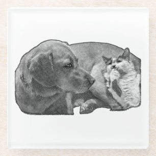 Sip Pause, Tiny Pact Glass Coaster