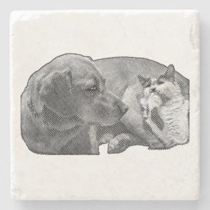 Sip Pause, Tiny Pact Stone Coaster