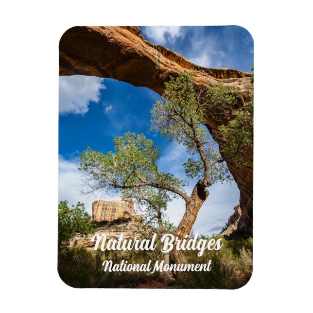 Sipapu Bridge, Natural Bridges National Monument Magnet (Vertical)