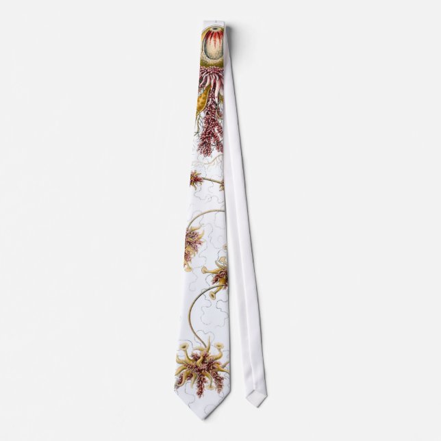 Siphonophorae Ernst Haeckel Fine Art Tie (Front)