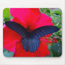 Sipping Sweetly - Butterfly Mousepad