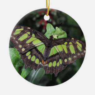 Siproeta stelenes ceramic tree decoration