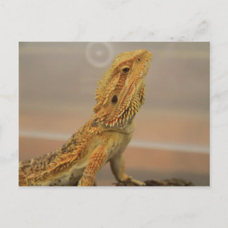 Sir Charles Posing Postcard