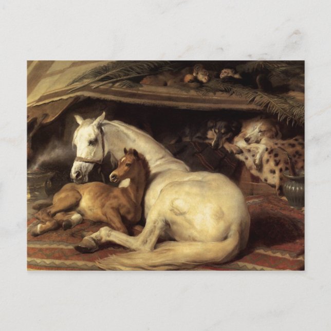 Sir Edwin Henry Landseer | The Arab Tent Postcard (Front)