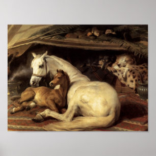 Sir Edwin Henry Landseer The Arab Tent Poster