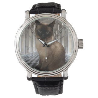 SirPercyPaws - Fancy Cat Watch