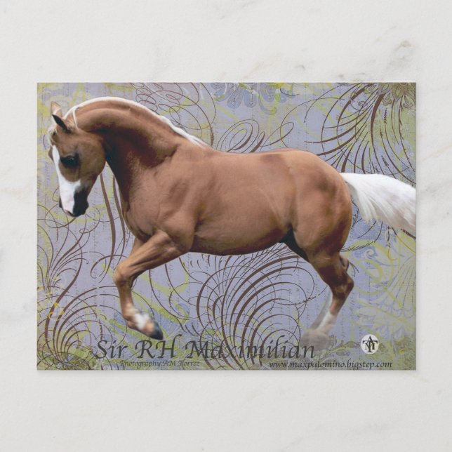 SirRHMaximilian2 Postcard (Front)