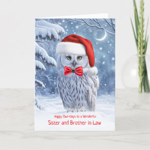 Sister and Brother in Law Owl Happy Holidays Card