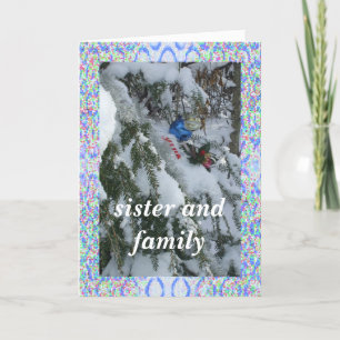 Sister and Family-Decorated Tree Outside Framed Ho Holiday Card