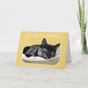 Sister, Belated Birthday Tortoiseshell Cat Card