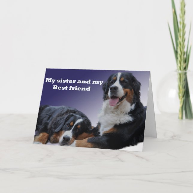 sister, bernese, happy birthday, best wishes, love card (Front)