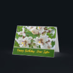 Sister Birthday Add Your Text with Catalpa Blooms Card<br><div class="desc">Catalpa tree blossoms decorate the cover of this birthday card for a sister. Add your own text to the cover as you like. The blooms are like beautiful orchids. Perfect for a spring birthday. Art,  image,  and verse copyright © Shoaff Ballanger Studios,  2025.</div>