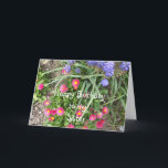 Sister Birthday Flower Bed Card<br><div class="desc">mixed flower bed</div>