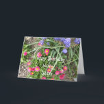 Sister Birthday Flower Bed Card<br><div class="desc">mixed flower bed</div>