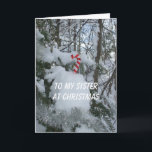 Sister Christmas-Candy Cane Holiday Card<br><div class="desc">Candy cane on snow covered tree.</div>