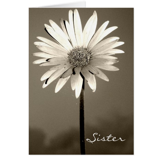 Sister Flower Cards (Front)