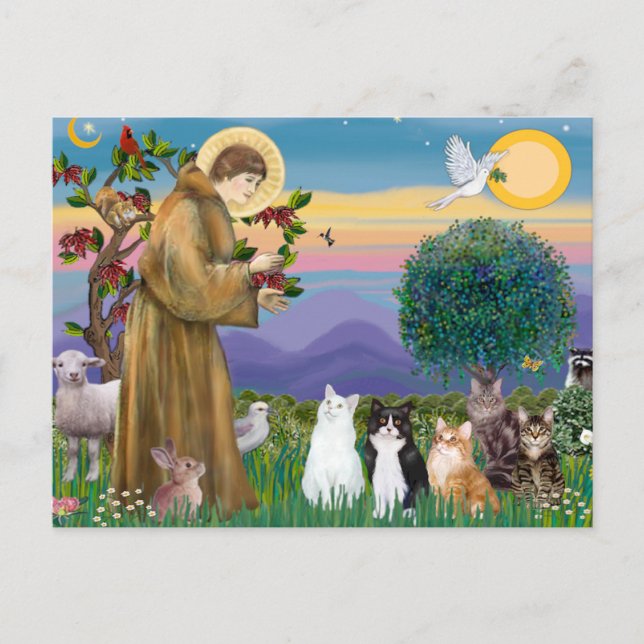 Sister Frances Blessing 5 cats Postcard (Front)