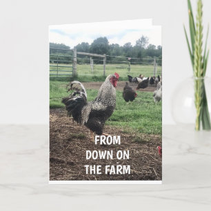 **SISTER HAPPY BIRTHDAY DOWN ON THE FARM" CARD