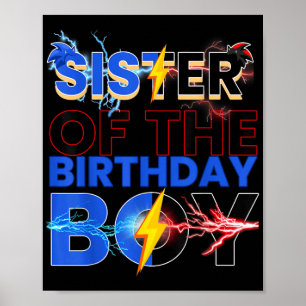 Sister Of The Birthday Boy Hedgehog Family Party D Poster