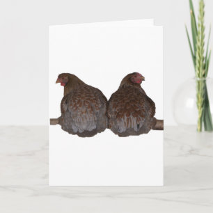 Sisters - Blue Laced Wyandotte Hens Roosting Card
