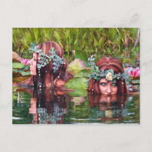 Sisters Collectors Postcard