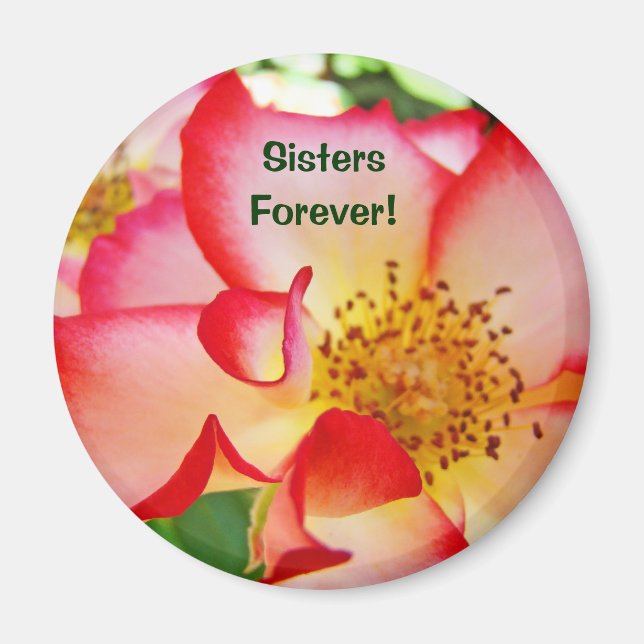 Sisters Forever! magnet Red White Pink Rose (Front)