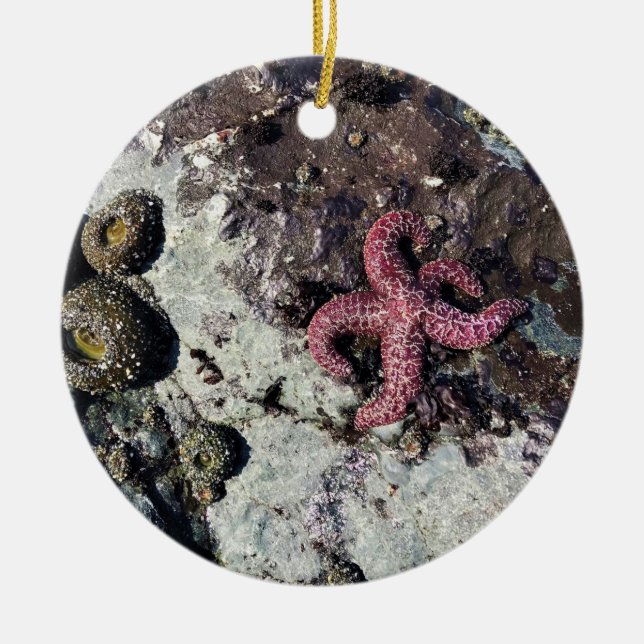 Sisters Rock State Park, Oregon Coast Ceramic Tree Decoration (Front)