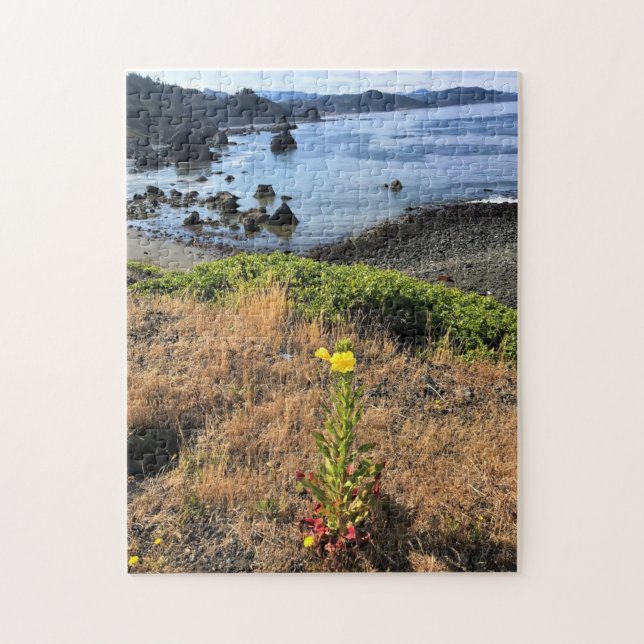 Sisters Rock State Park, Oregon Coast Jigsaw Puzzle (Vertical)