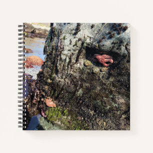 Sisters Rock State Park, Oregon Coast Notebook