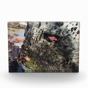 Sisters Rock State Park, Oregon Coast Photo Block