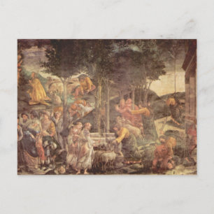Sistine Chapel -The youth of Moses Postcard