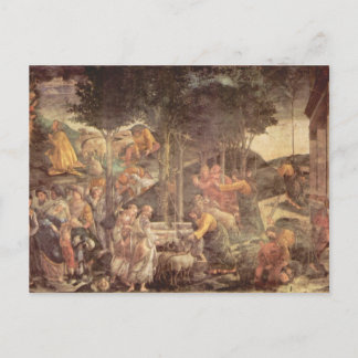Sistine Chapel -The youth of Moses Postcard