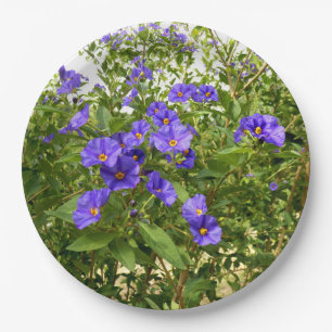 Sisyrinchium Angustifolium Paper Plate