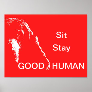 Sit Stay Good Human Poster