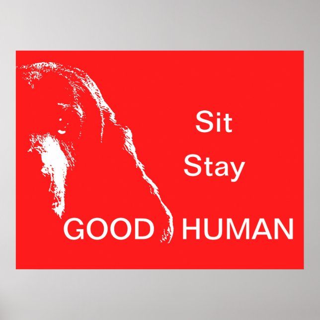 Sit Stay Good Human Poster (Front)