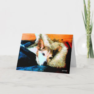 Sit Stay Heal, and Get Well Soon! Card