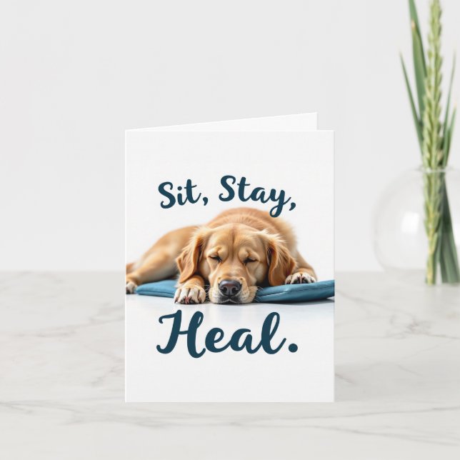 Sit Stay Heal Funny Get Well Card (Front)