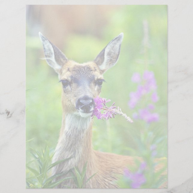 Sitka Black-tailed Deer with Fireweed (Front)