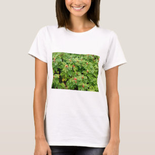 Sitka Rose Bush with Many Red Rose Hips Close-up T-Shirt