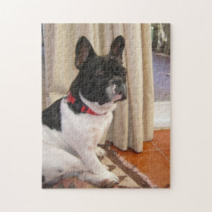 sitting 3 french bulldog.png jigsaw puzzle