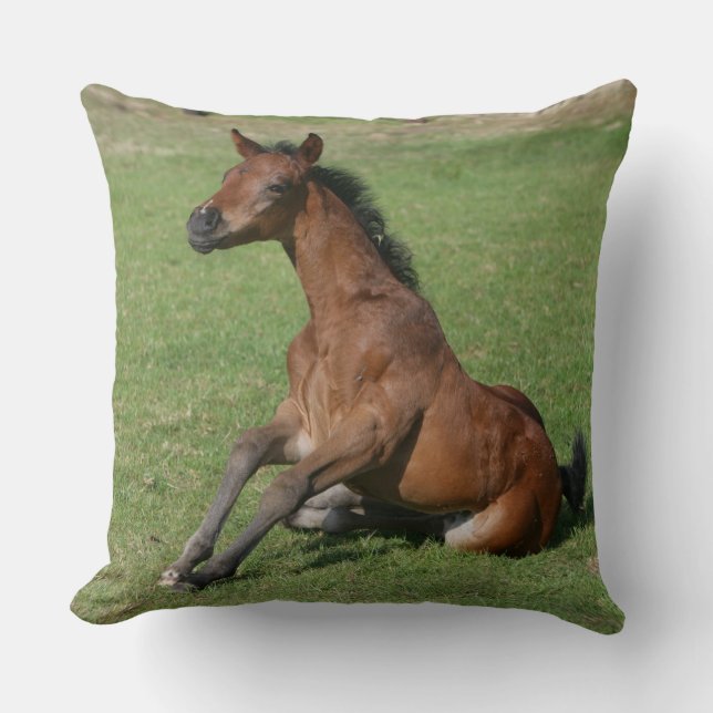Sitting Arab Foal Cushion (Front)