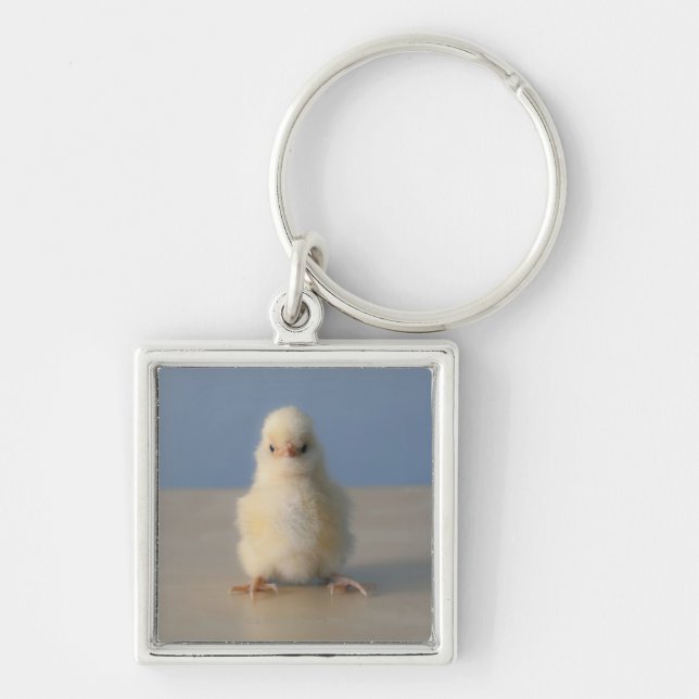 Sitting Baby Yellow Chicken, 3 days old Key Ring (Front)