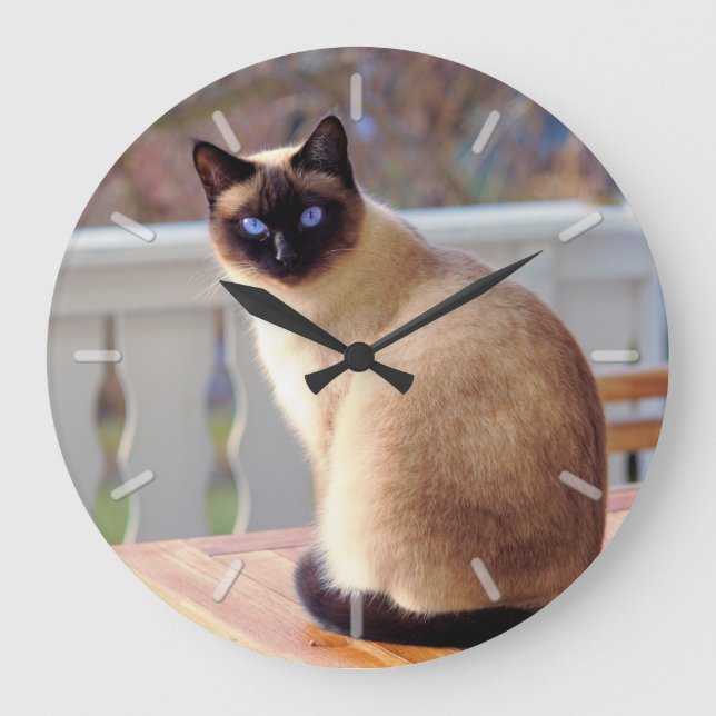 Sitting Blue Eyed Siamese Cat Themed Large Clock (Front)
