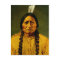 Sitting Bull Native American Indian Chief