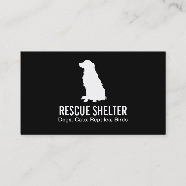 Sitting Dog | Veterinarian Business Card (Front)